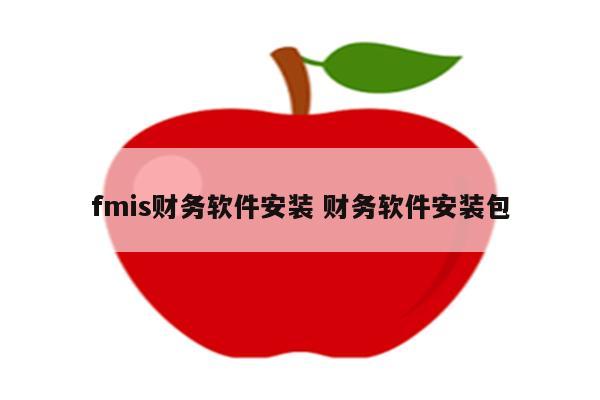 fmis财务软件安装 财务软件安装包