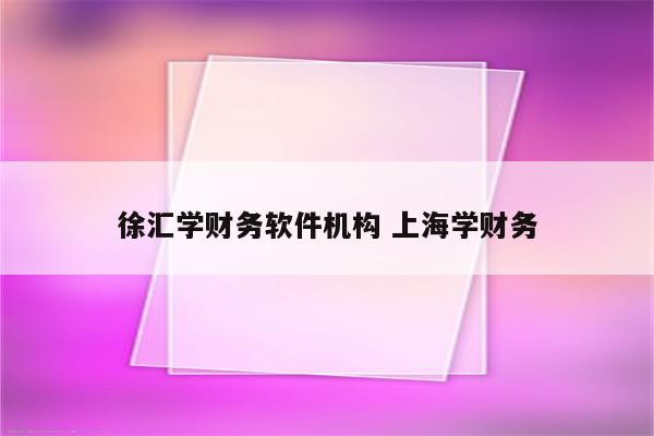 徐汇学财务软件机构 上海学财务