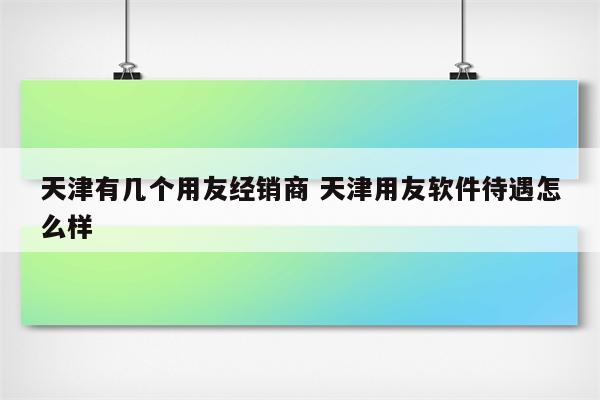 天津有几个用友经销商 天津用友软件待遇怎么样