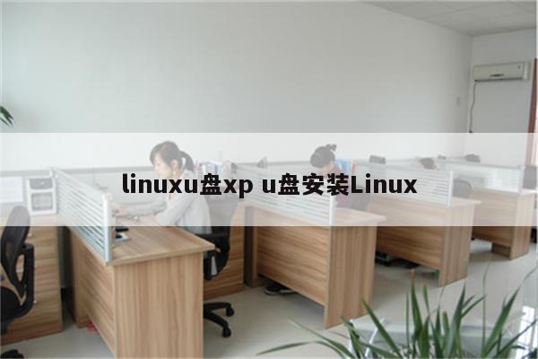 linuxu盘xp u盘安装Linux