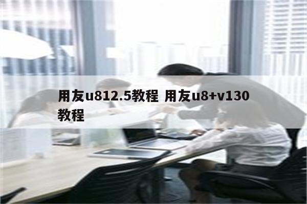 用友u812.5教程 用友u8+v130教程