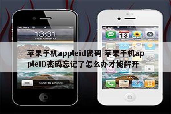 苹果手机appleid密码 苹果手机appleID密码忘记了怎么办才能解开