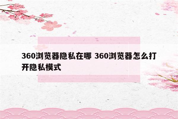360浏览器隐私在哪 360浏览器怎么打开隐私模式