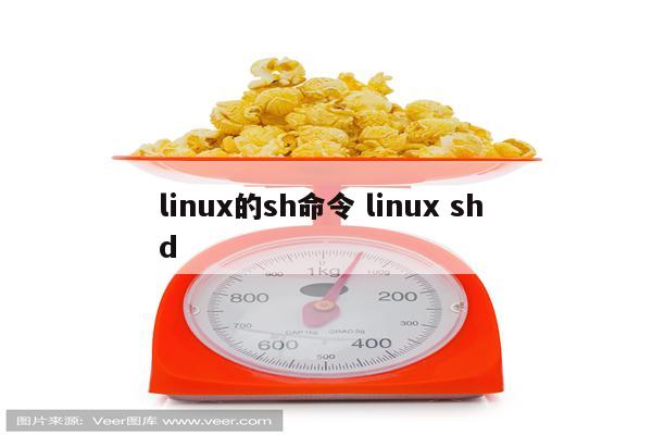 linux的sh命令 linux sh d