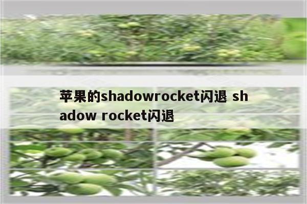 苹果的shadowrocket闪退 shadow rocket闪退