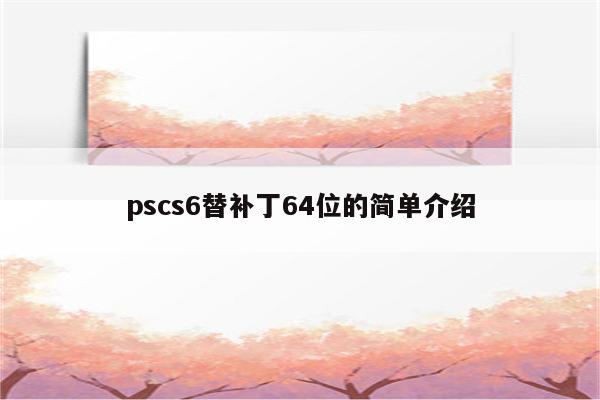 pscs6替补丁64位的简单介绍