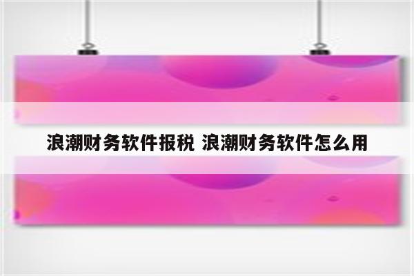 浪潮财务软件报税 浪潮财务软件怎么用