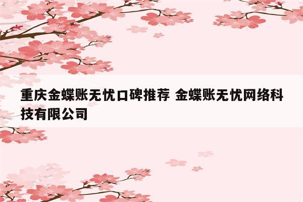 重庆金蝶账无忧口碑推荐 金蝶账无忧网络科技有限公司