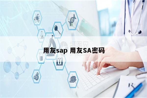 用友sap 用友SA密码