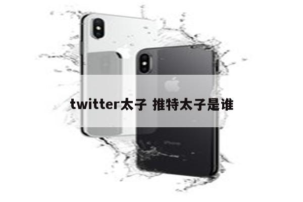 twitter太子 推特太子是谁