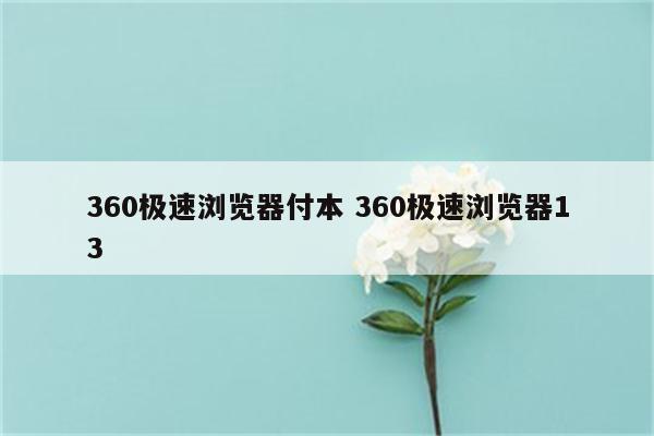 360极速浏览器付本 360极速浏览器13