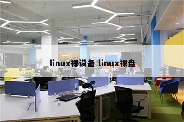 linux裸设备 linux裸盘