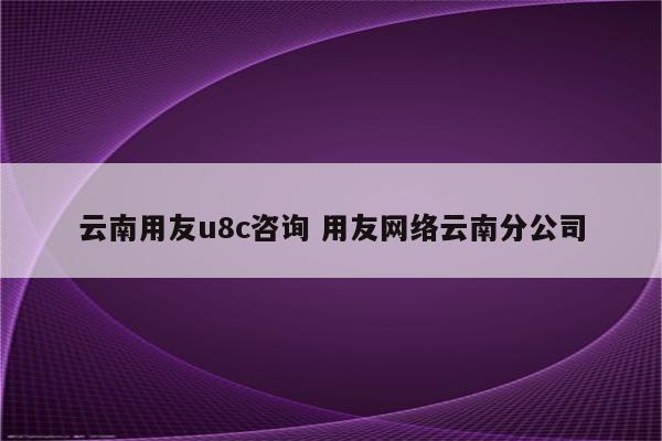 云南用友u8c咨询 用友网络云南分公司