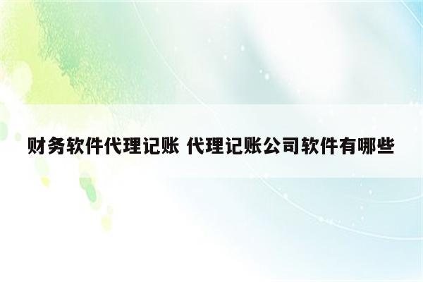 财务软件代理记账 代理记账公司软件有哪些