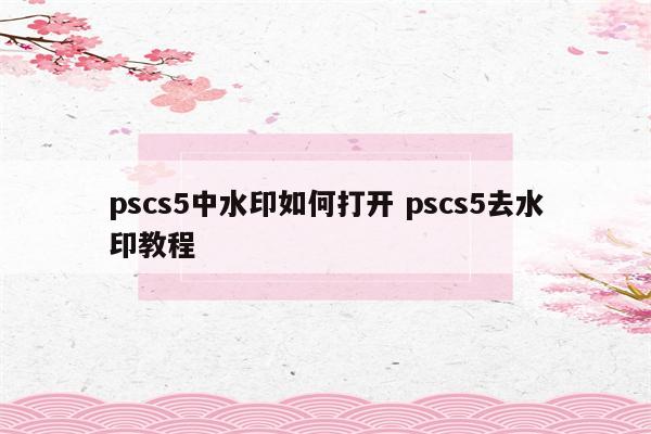 pscs5中水印如何打开 pscs5去水印教程