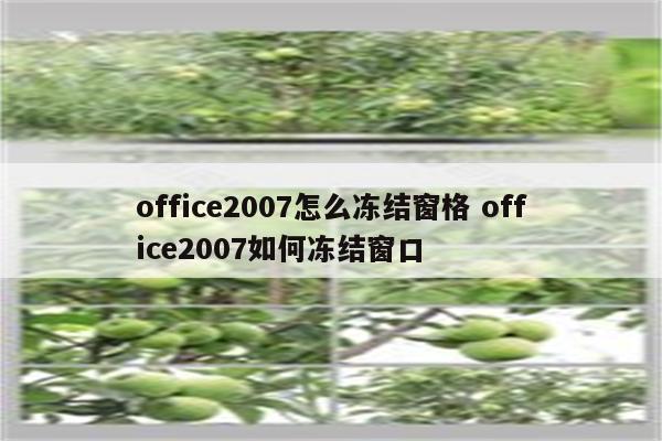 office2007怎么冻结窗格 office2007如何冻结窗口