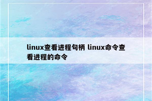 linux查看进程句柄 linux命令查看进程的命令