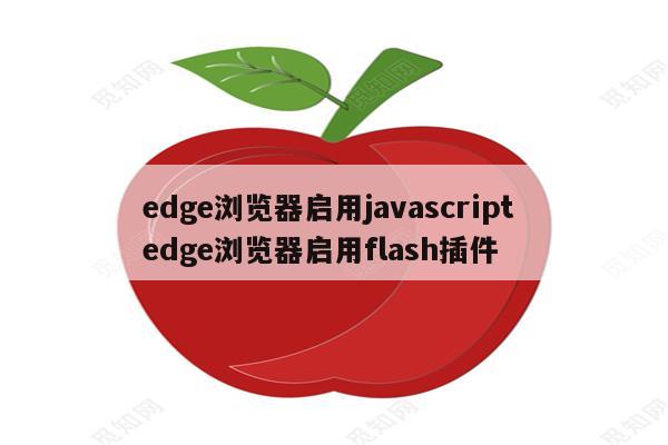 edge浏览器启用javascript edge浏览器启用flash插件