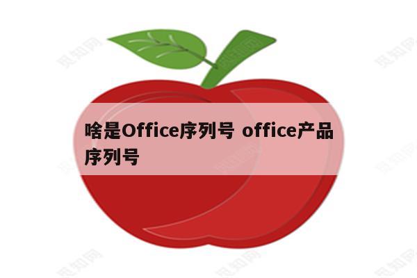 啥是Office序列号 office产品序列号