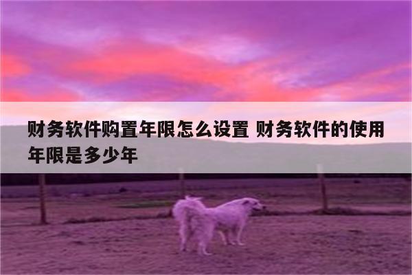 财务软件购置年限怎么设置 财务软件的使用年限是多少年