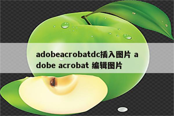 adobeacrobatdc插入图片 adobe acrobat 编辑图片