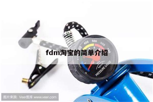 fdm淘宝的简单介绍