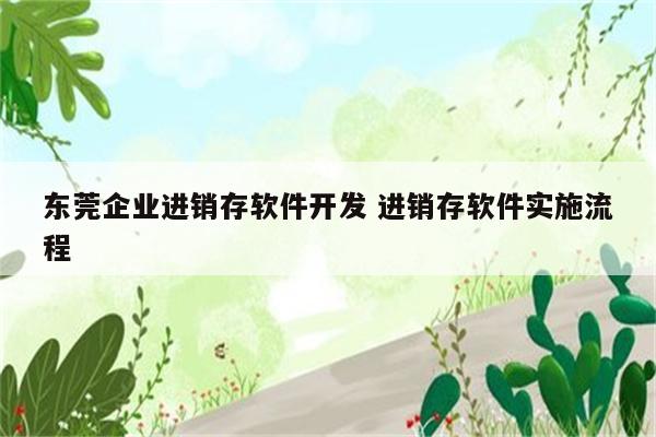 东莞企业进销存软件开发 进销存软件实施流程