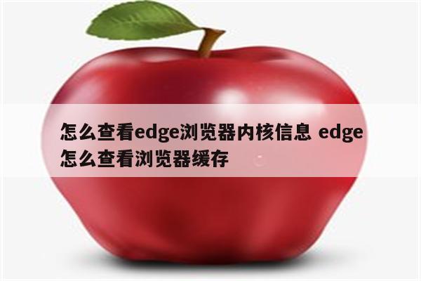 怎么查看edge浏览器内核信息 edge怎么查看浏览器缓存