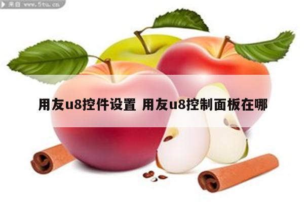 详细阅读:用友u8控件设置 用友u8控制面板在哪 用友u8控件设置 用友u8控制面板在哪