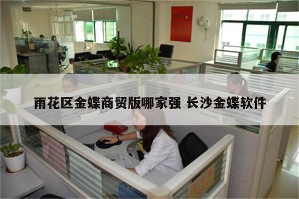 雨花区金蝶商贸版哪家强 长沙金蝶软件