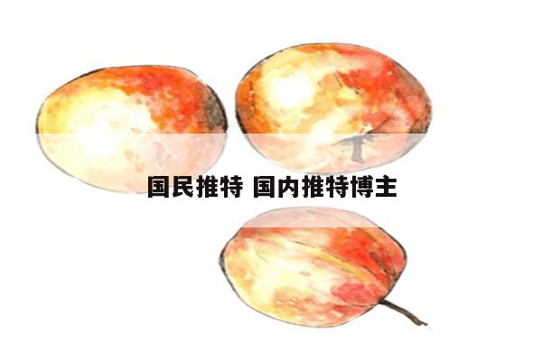 国民推特 国内推特博主