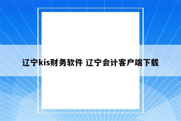 辽宁kis财务软件 辽宁会计客户端下载