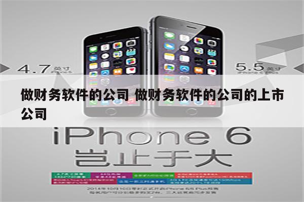 做财务软件的公司 做财务软件的公司的上市公司