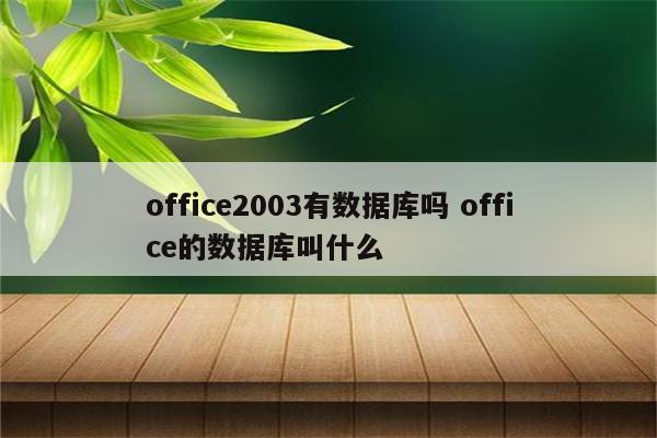 office2003有数据库吗 office的数据库叫什么