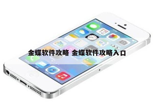 金蝶软件攻略 金蝶软件攻略入口