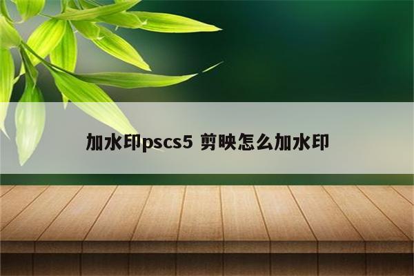 加水印pscs5 剪映怎么加水印