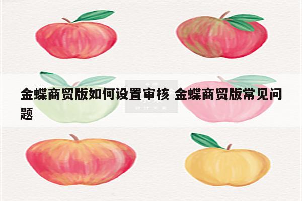 金蝶商贸版如何设置审核 金蝶商贸版常见问题