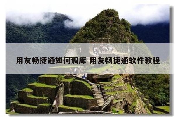用友畅捷通如何调库 用友畅捷通软件教程