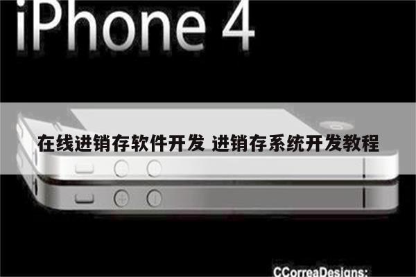 在线进销存软件开发 进销存系统开发教程