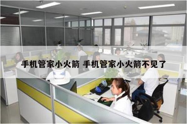 手机管家小火箭 手机管家小火箭不见了