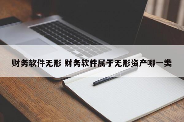 财务软件无形 财务软件属于无形资产哪一类