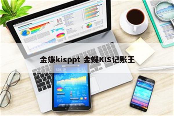 金蝶kisppt 金蝶KIS记账王