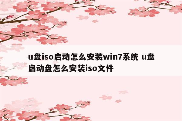 u盘iso启动怎么安装win7系统 u盘启动盘怎么安装iso文件