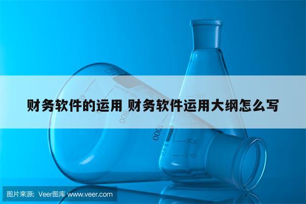 财务软件的运用 财务软件运用大纲怎么写