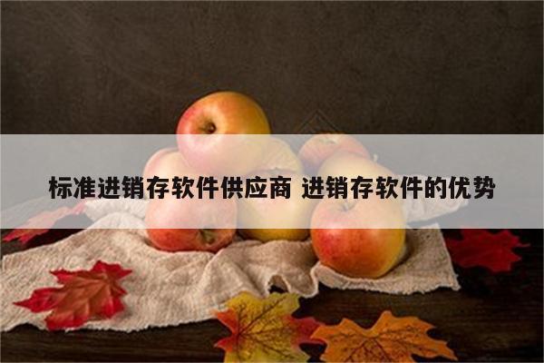 标准进销存软件供应商 进销存软件的优势