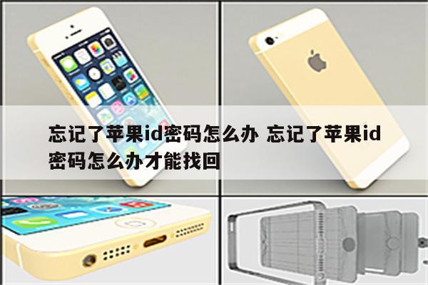 忘记了苹果id密码怎么办 忘记了苹果id密码怎么办才能找回