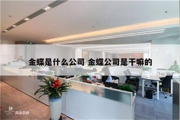金蝶是什么公司 金蝶公司是干嘛的