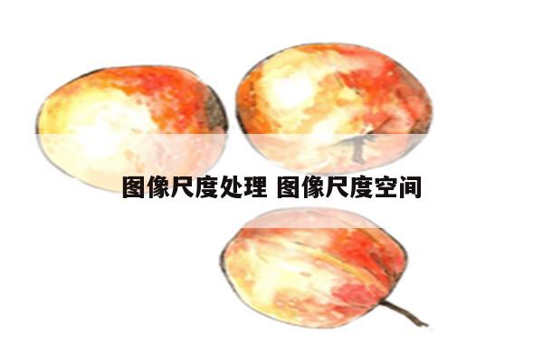 图像尺度处理 图像尺度空间
