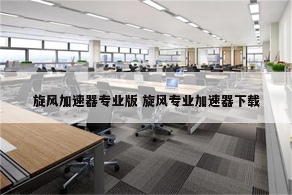 旋风加速器专业版 旋风专业加速器下载