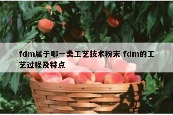 fdm属于哪一类工艺技术粉末 fdm的工艺过程及特点